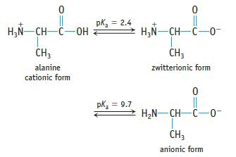 0 || HN-CH-C-OH CH3 alanine cationic form pk = 2.4 pK = 9.7 0 HN-CH-C-0- CH3 zwitterionic form 0 ||