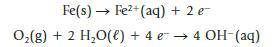 Fe(s) Fe+ (aq) + 2 e- O(g) + 2 HO(l) + 4 e 4 OH-(aq)