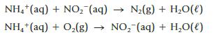 NH+ (aq) + NO (aq)  N(g) + HO(l) NH,+(aq) + Oz(g) NO (aq) + HO(l)