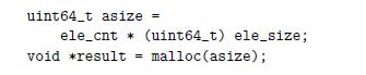 uint64_t asize ele_cnt* (uint64_t) ele_size; malloc (asize); void *result =