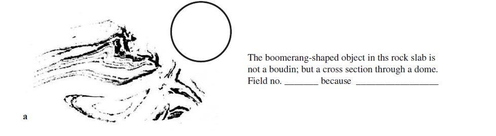 a The boomerang-shaped object in the rock slab is not a boudin; but a cross section through a dome. Field no.