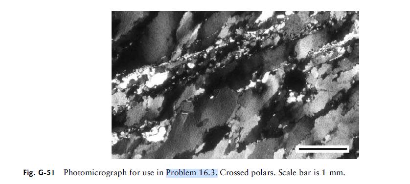 Fig. G-51 Photomicrograph for use in Problem 16.3. Crossed polars. Scale bar is 1 mm.