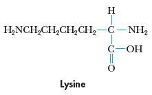 H HNCHCHCH CH-C-NH C-OH Lysine U=O 0