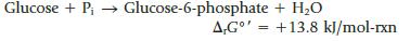 Glucose + P  Glucose-6-phosphate + HO A,GO+13.8 kJ/mol-rxn