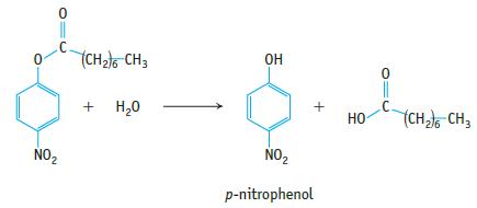 0 NO 0 C. (CH)6 CH3 + H20  + NO p-nitrophenol  0 C. (CH)6 CH3