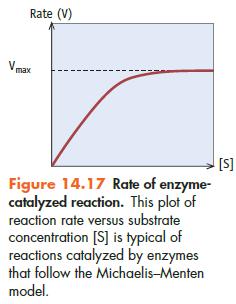 Rate (V) Figure 14.17 Rate of enzyme- catalyzed reaction. This plot of reaction rate versus substrate
