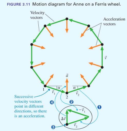 FIGURE 3.11 Motion diagram for Anne on a Ferris wheel. Velocity vectors Successive- velocity vectors point in