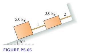5.0 kg 20 FIGURE P5.65 3.0 kg 2