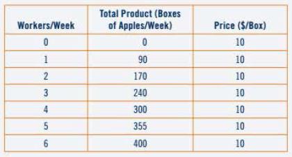 Workers/Week 0 1 2 3 4 5 6 Total Product (Boxes of Apples/Week) 0 90 170 240 300 355 400 Price ($/Box) 10 10