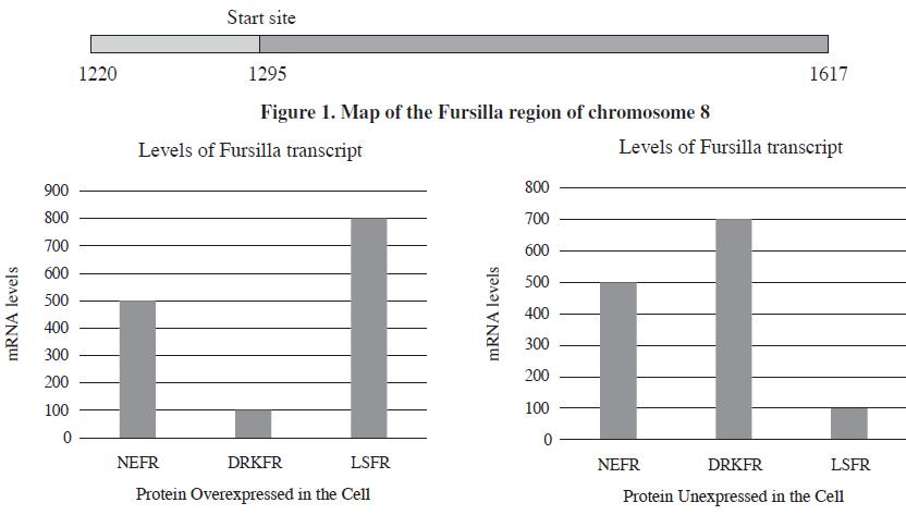 mRNA levels 900 800 700 600 500 400 300 200 100 0 1220 Start site 1295 Figure 1. Map of the Fursilla region