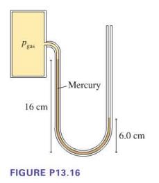 gas 16 cm -Mercury FIGURE P13.16 6.0 cm