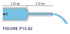 P 1.0 m FIGURE P13.62 1.0 m