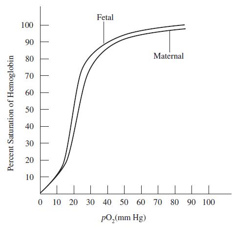 Percent Saturation of Hemoglobin 100 90 80 70 60 50 40 30 20 10 Fetal Maternal 0 10 20 30 40 50 60 70 80 90