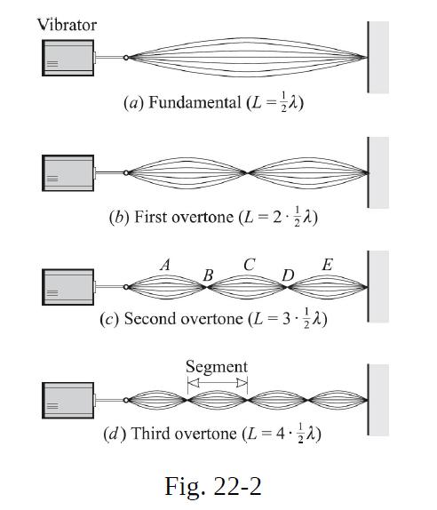 Vibrator (a) Fundamental (L =  ) (b) First overtone (L = 2 - 1/2) A B C D Segment E (c) Second overtone (L =