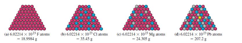 (a) 6.02214 x 1023 F atoms = 18.9984 g (b) 6.02214 x 1023 Cl atoms = 35.45 g (c) 6.02214 x 1023 Mg atoms =