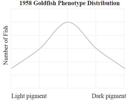Number of Fish 1958 Goldfish Phenotype Distribution Light pigment Dark pigment