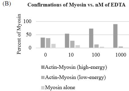 (B) Percent of Myosin Confirmations of Myosin vs. nM of EDTA 100 50 0 0 10 H L 100 1000 Actin-Myosin