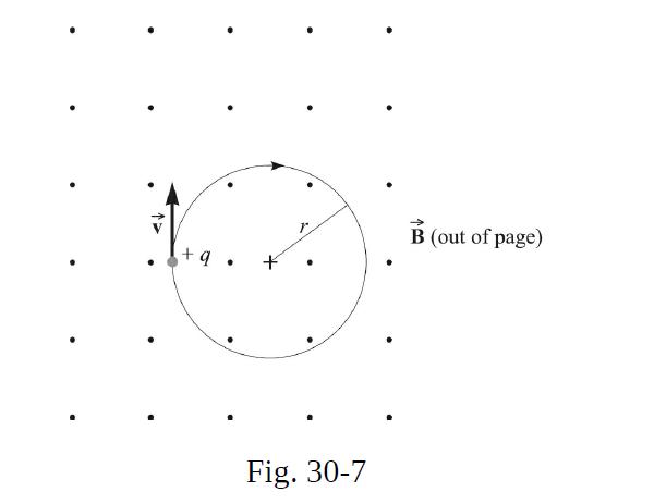 +q  Fig. 30-7 B (out of page)