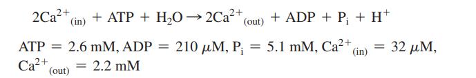 2Ca+ (in) + ATP + HO2Ca+ ATP = 2.6 mM, ADP 210 M, P; = 5.1 mM, Ca+, ; = 2.2 mM Ca+ (out) = (out) + ADP + P +