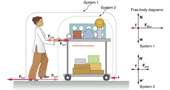Floot Fcart Floor Fo prof System 1 System 2 Free body diagrams N W Floor System 1 N' Fr prof w' System 2