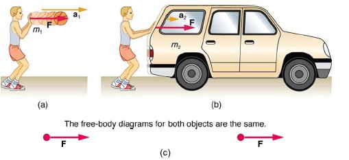 m (a) (b) The free-body diagrams for both objects are the same. F F (c)