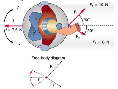 f = 7.5 N Free-body diagram F F2 F F = 10 N 45 30 F = 8 N