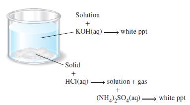 Solution + KOH(aq). Solid + HCl(aq) white ppt solution + gas + (NH4)SO4(aq)  white ppt