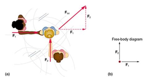 (a) F Fut F Free-body diagram (b) F F
