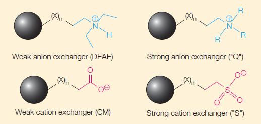 H Weak anion exchanger (DEAE) Weak cation exchanger (CM) (X) R Xxn R R Strong anion exchanger ("Q") 6=0