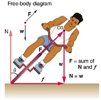 Free-body diagram N 0 W F F f CG W F = sum of N and f N=w