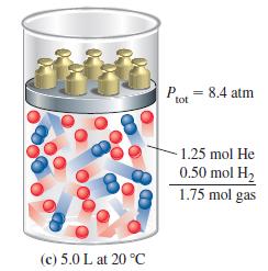 (c) 5.0 L at 20 C Pot = 8.4 atm -1.25 mol He 0.50 mol H 1.75 mol gas