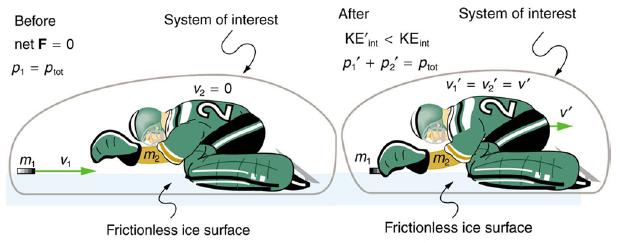 Before net F = 0 P = Plot m V System of interest S V/ = 0 Frictionless ice surface After KE'Int < KE int P +