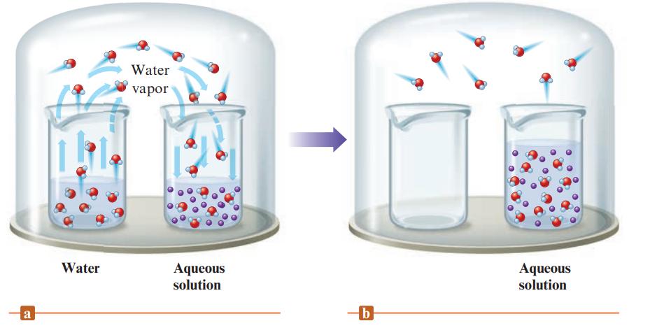 a Water Water vapor Aqueous solution -b Aqueous solution