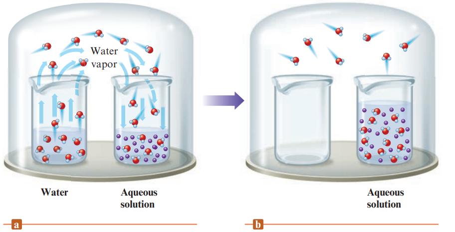 a Water Water vapor Aqueous solution b Aqueous solution