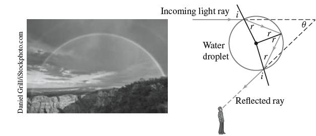 Daniel Grill/iStockphoto.com Incoming light ray Water droplet Reflected ray
