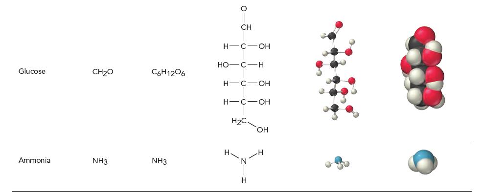 Glucose Ammonia CHO NH3 C6H1206 NH3 H CH  C OH - C C H2C N - OH -OH OH H