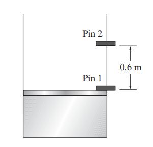 Pin 2 Pin 1 0.6 m