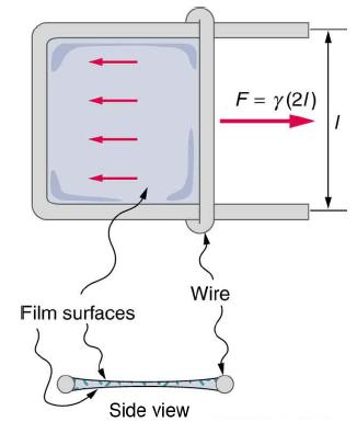 Film surfaces Side view Wire F = y(21)