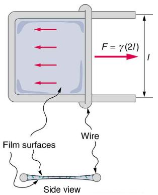 Film surfaces Side view Wire F = Y(21) 1