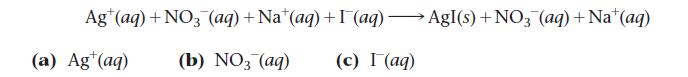 Ag (aq) + NO3(aq) +Na (aq) +I (aq)  Agl(s) +NO3 (aq) +Na+ (aq) (a) Ag+ (aq) (b) NO3(aq) (c) I (aq)