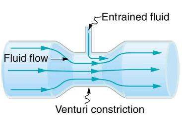 Fluid flow  Entrained fluid Venturi constriction