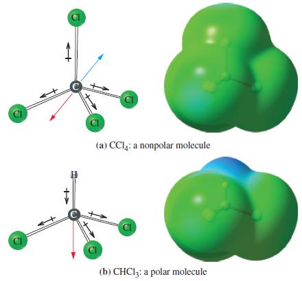 CI (a) CC14: a nonpolar molecule (b) CHCl3: a polar molecule