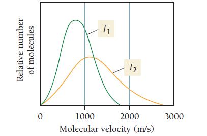 Relative number of molecules 0 T T 1000 Molecular velocity (m/s) 2000 3000