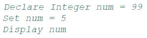 Declare Integer num Set num= 5 Display num 99