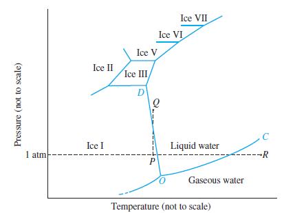 Pressure (not to scale) 1 atm Ice II Ice I Ice V Ice III/ D Ice VI Q P Ice VII Liquid water Gaseous water