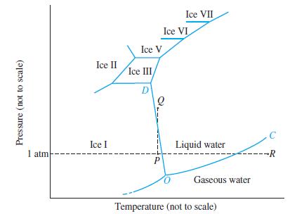 Pressure (not to scale) 1 atm Ice II Ice I Ice V Ice III D Q P Ice VII Ice VI Liquid water Gaseous water