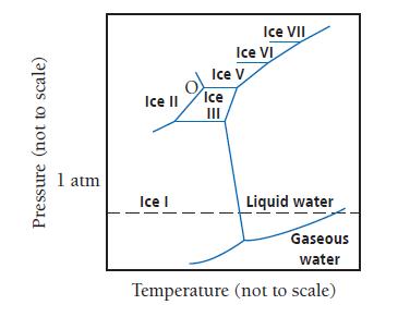 Pressure (not to scale) 1 atm Ice II Ice I Ice V Ice III Ice VII Ice VI Liquid water Gaseous water