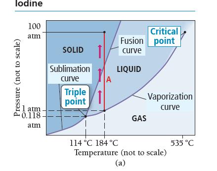 lodine Pressure (not to scale) 100 atm 1 atm 0.118 atm SOLID Sublimation curve Triple point A Fusion curve