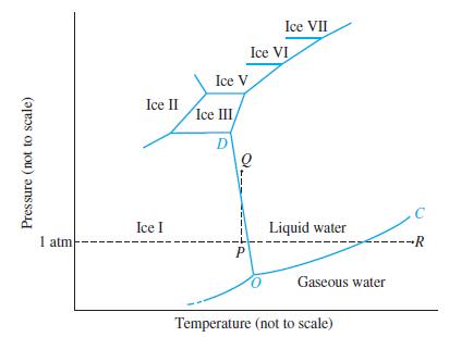 Pressure (not to scale) 1 atm Ice II Ice I Ice V Ice III/ D P Ice VII Ice VI Liquid water Gaseous water