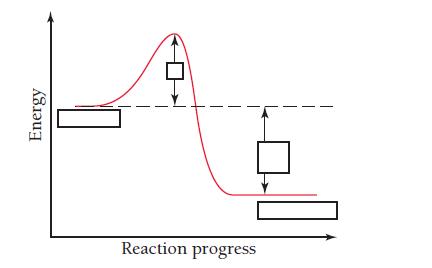 Energy Reaction progress
